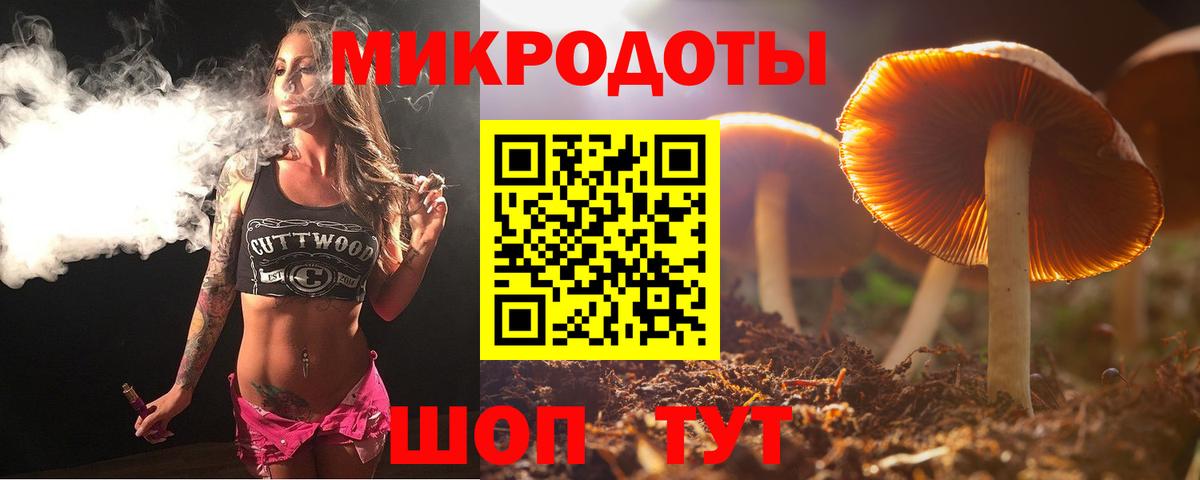 Канаш  Псилоцибиновые грибы прущие грибы  Вход с VPN  Галлюциногенные грибы Cubensis 