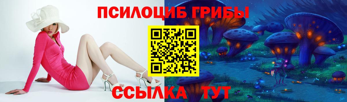 Галлюциногенные грибы Psilocybine cubensis Канаш